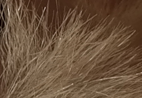 Samsung NX300: spousta kroků vpřed, jeden vzad