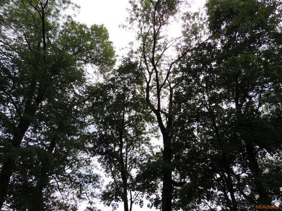 Nikon Coolpix P510: lovec rekordů