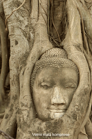 Vše o formátu RAW – 6. díl