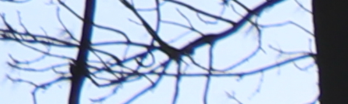 Canon EF-S 18-135mm f/3.5-5.6 IS Nano USM