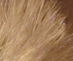 Canon PowerShot S90: malý zázrak