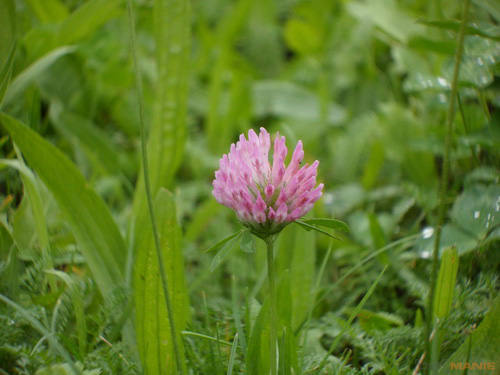 Samsung WB210: dotkněte se 21 milimetrů!