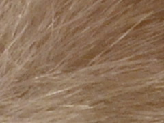 Nikon D3100: základ nabídky DSLR