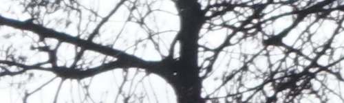 Sony FE 28-70mm F3.5-5.6 OSS (SEL2870)