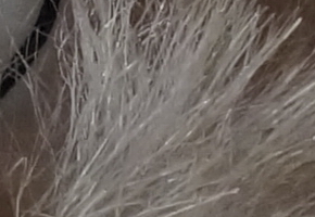 Sony SLT-A58: silný základ