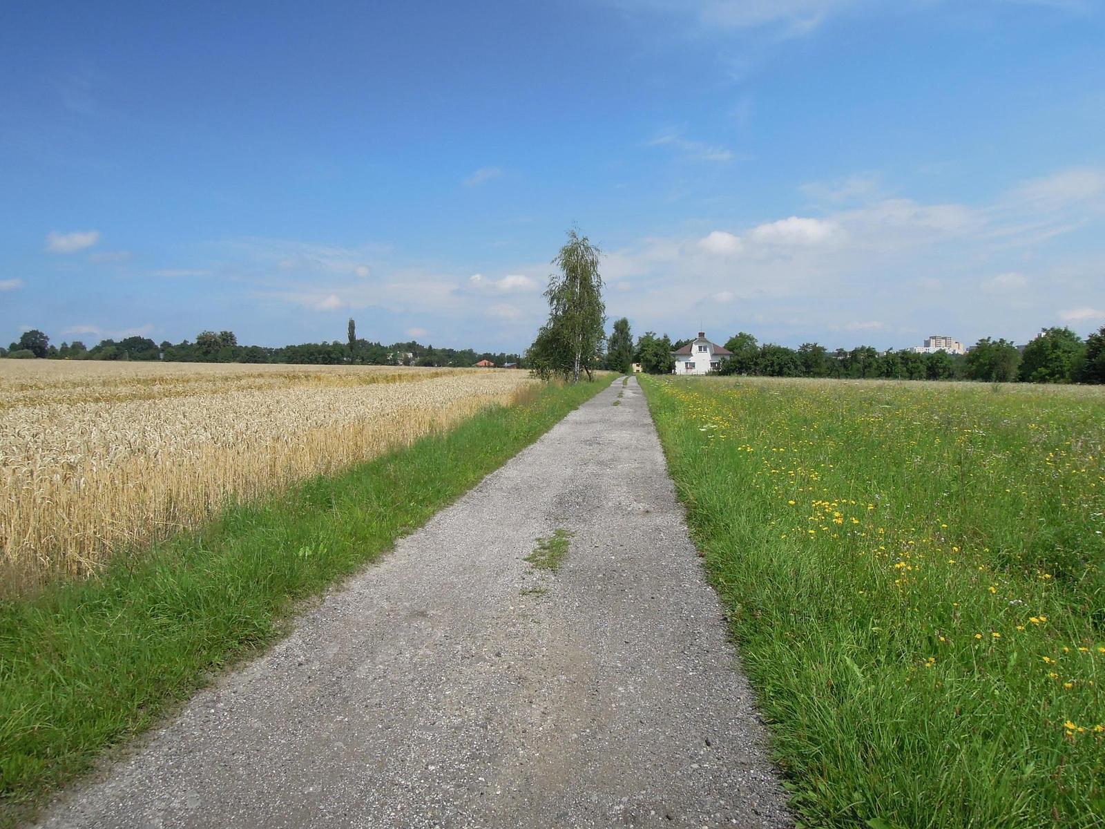 Nikon Coolpix P300: nenápadný šikula