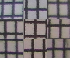 Samsung WB750: splnil očekávání?