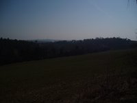 Olympus Camedia C-470 Zoom: Americký D-590