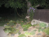 Canon PowerShot A540: Stříbrný šikula