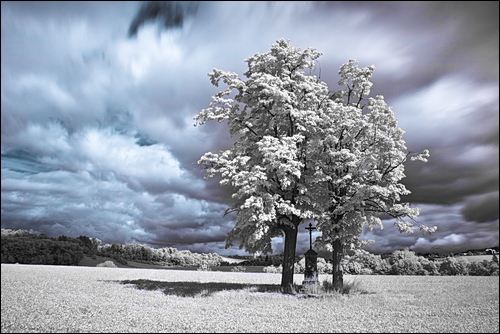 Fotografie: nechte ji dozrát!