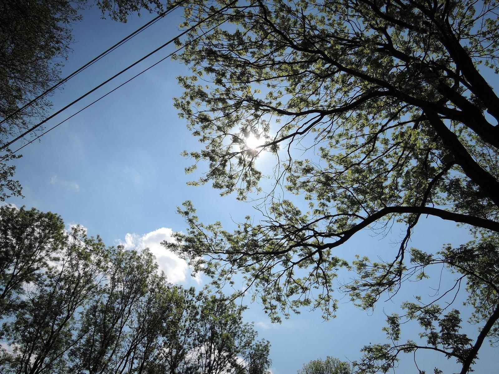 Nikon Coolpix P330: do vyšších sfér