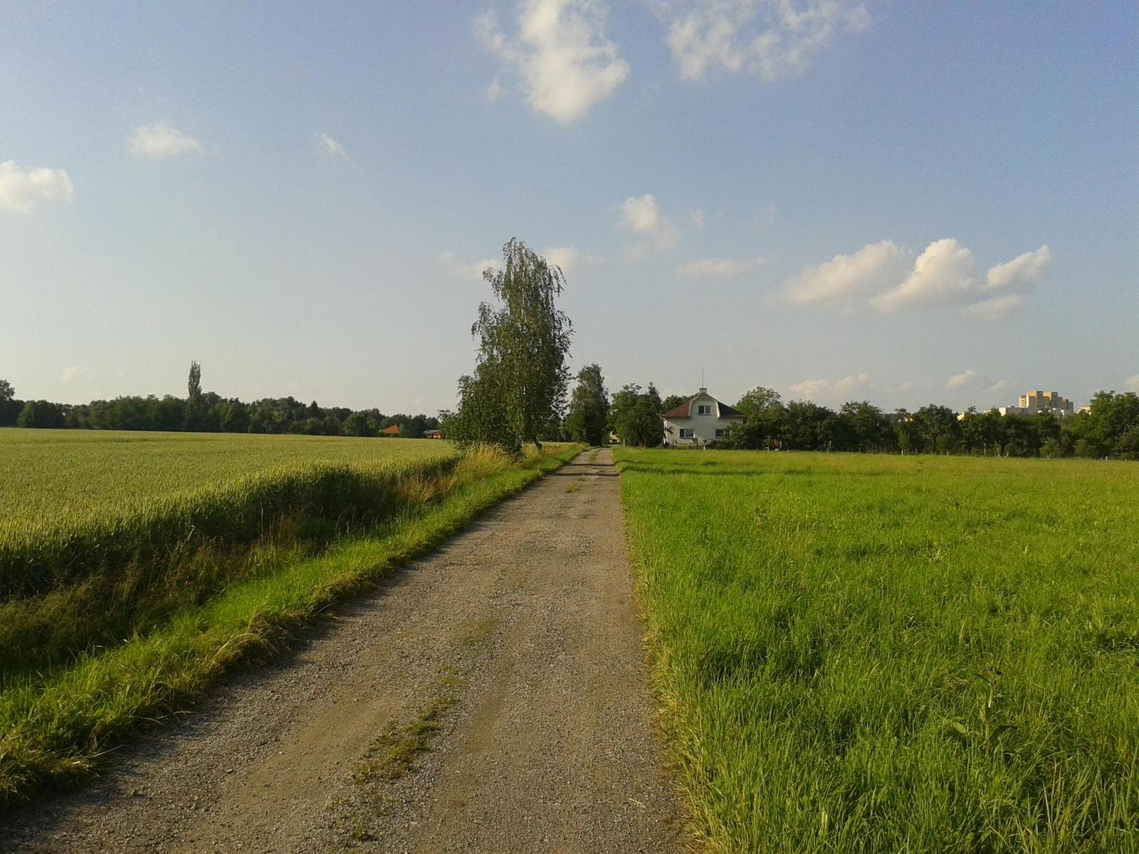 Samsung Galaxy S III mini: 5MPx placka