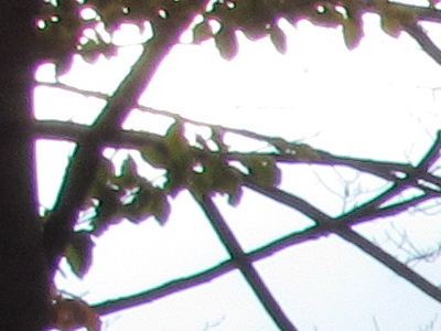 Canon PowerShot SX30 IS: sebevědomý rekordman