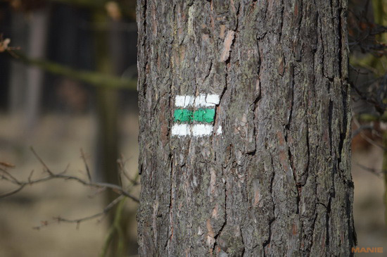 Nikon AF-S NIKKOR DX 55-300mm 1:4.5-5.6G ED VR