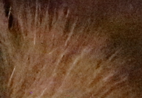 Canon EOS M: první pokus