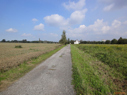 Sony Cyber-shot WX5: kompaktní klenot