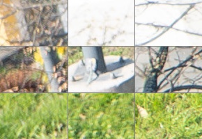 Panasonic Lumix S 24-105mm F4 Macro O.I.S.