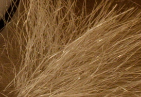 Nikon Coolpix A: velmi příjemná (ne)výraznost