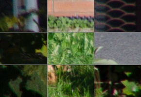 Nikon AF-S DX NIKKOR 55-200mm f/4-5.6G IF-ED VR