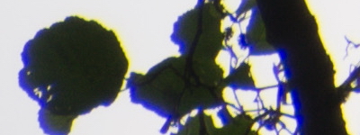 Tamron 16-300mm f/3.5-6.3 Di II VC PZD Macro