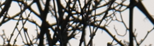 Panasonic Leica DG Elmarit 200mm / F2.8 / Power O.I.S.