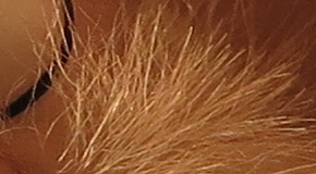 Canon PowerShot G1 X Mark II: významné zlepšení