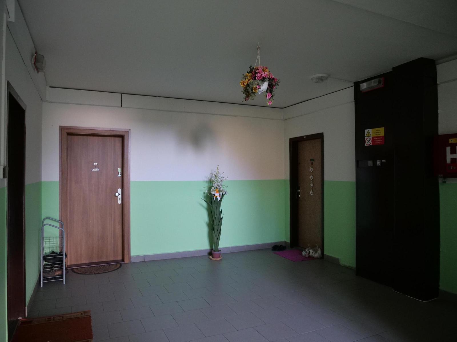 Panasonic Lumix G9: skutečně výborný