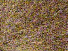 Nikon D3100: základ nabídky DSLR