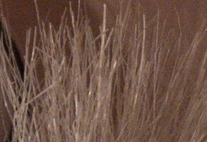 Samsung NX20: za více peněz více muziky