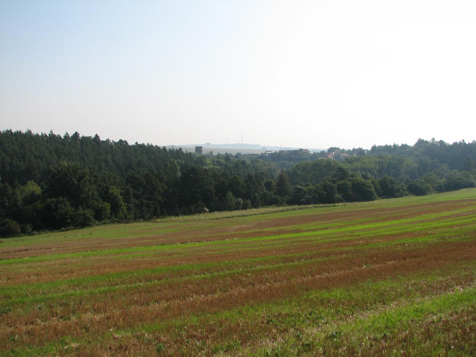 Canon PowerShot S2 IS: dvanáctinásobné oko Canonovo