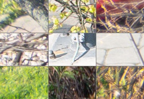 Panasonic Lumix S 24-105mm F4 Macro O.I.S.