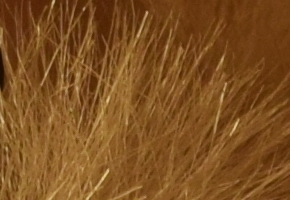 Nikon D5300: bezdrátový DSLR turista