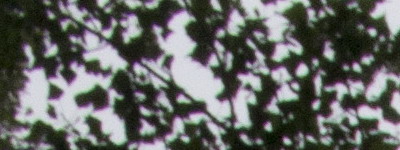 Nikon 18-55mm f/3,5-5,6G AF-S DX VR