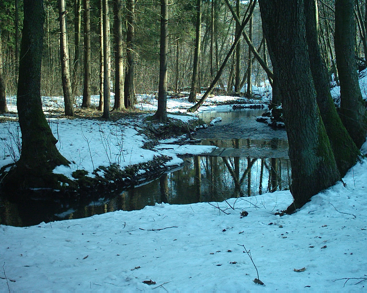 Aosta Megacam: Jednoduchý foťák za příznivou cenu