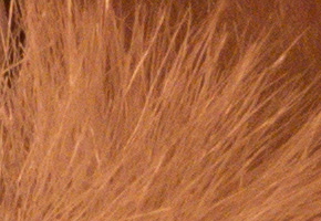 Panasonic Lumix LX7: kompaktní hvězda noci