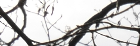 Panasonic Lumix G Vario 35-100mm F4-5.6 MEGA O.I.S.