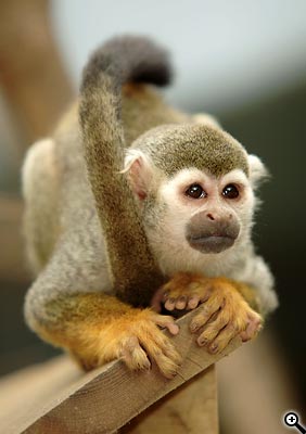 Cesta ke kvalitní fotografii: 1.díl