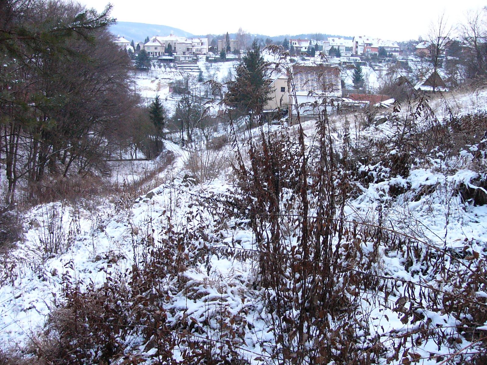 Panasonic Lumix DMC-FZ2: Dvoumegové EVFko s excelentní optikou