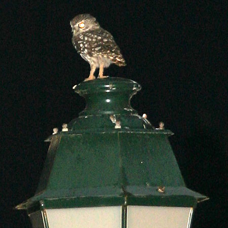 Fotografický blesk na cestě časem – 7. díl