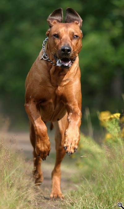 Fotoškola - 1.díl: Analogový nebo digitální fotoaparát?