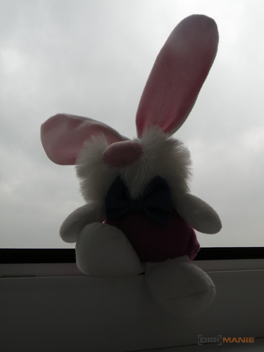 Nikon Coolpix P80: ultrazoom plný protikladů