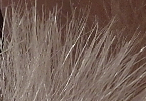 Samsung EX2F: významný krok vpřed