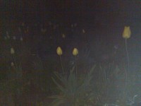 Téma pro tento měsíc - Jak fotí fotomobily, díl II.