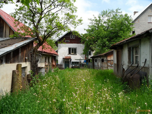 Samsung WB650: povedený cestovatel