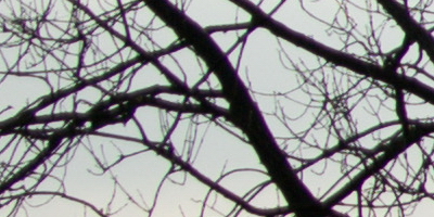 Sony SAL-70400G (70-400mm F4-5,6 SSM G)