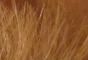 Canon PowerShot SX160 IS: více megapixelů i zoomu