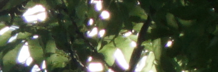 Sony E PZ 18-105mm F4 G OSS (SELP18105G)