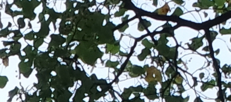 Samsung 16-50mm 1:3.5-5.6 ED OIS Power Zoom