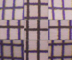 Panasonic Lumix FZ200: ultrazoomové překvapení roku