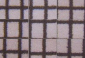 Canon PowerShot SX50 HS: překvapivá kombinace